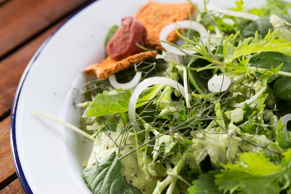 Liz Deschenes’ Ume Plum Dressing SALAD for President